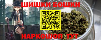 индика Мариинск