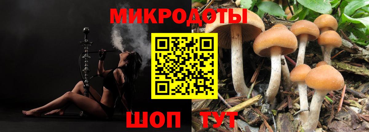 Галлюциногенные грибы мицелий  Будённовск 