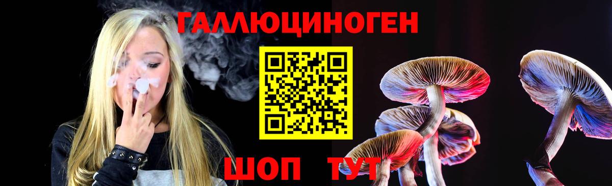 Псилоцибиновые грибы MAGIC MUSHROOMS  где можно купить наркотик  Будённовск  Вход с VPN  Галлюциногенные грибы Psilocybine cubensis 